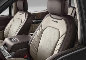 全地形头等舱福特F-150 LTD